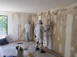 Best Mold Documentation for Insurance Claims in Weldon, CA